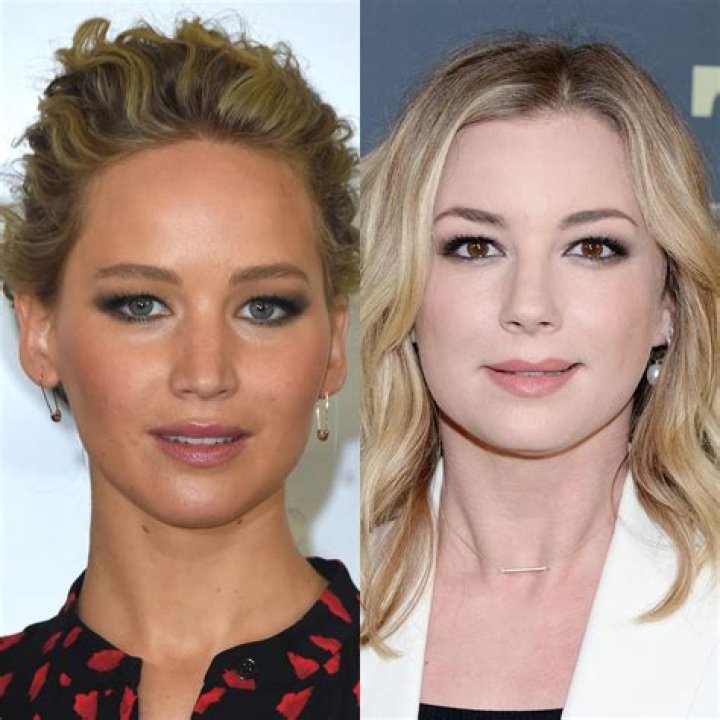 Emily VanCamp Plastic Surgery Before and After
