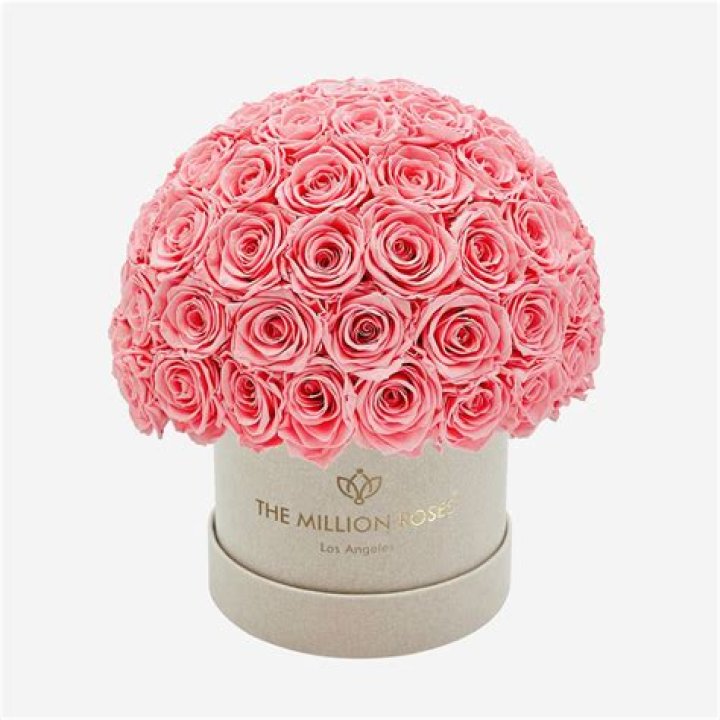 Million Roses