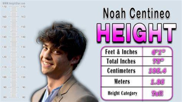 Noah Centineo Age, Weight, Height, Measurements